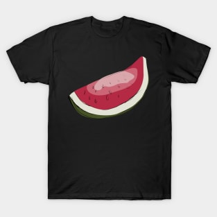 ripe watermelon T-Shirt